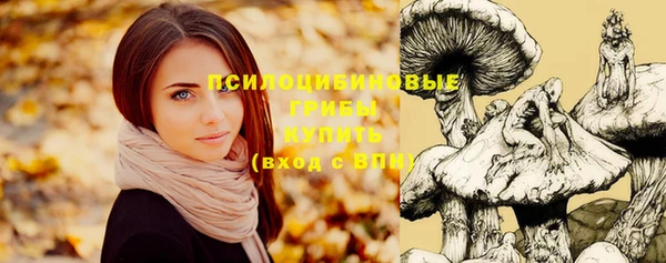 синтетический гашиш Елизово