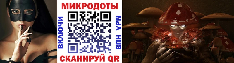 Купить где  Ногинск  Галлюциногенные грибы Psilocybine cubensis